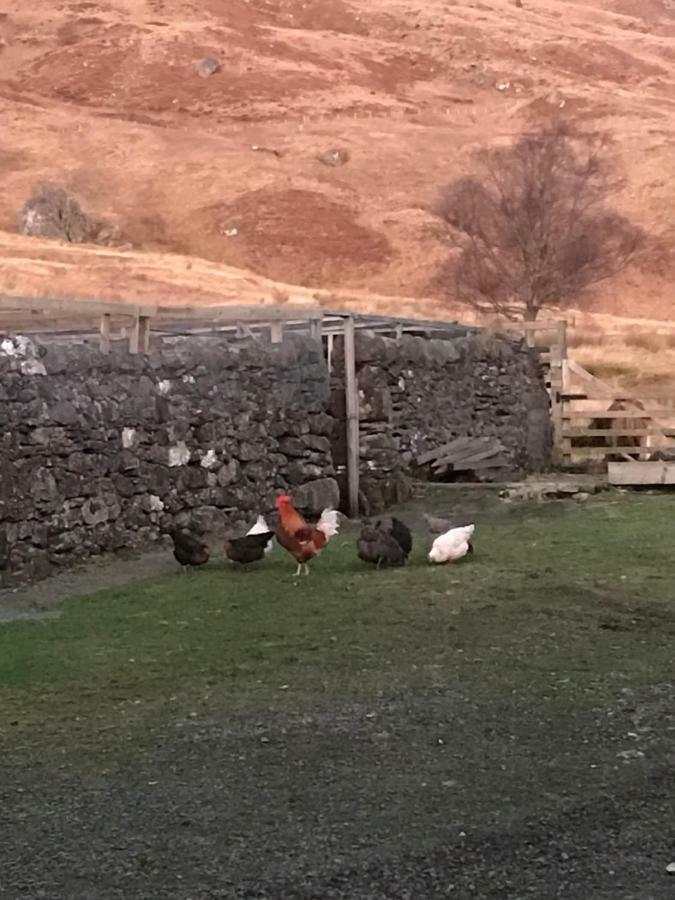 Garrison Of Inversnaid Farm With Hot Tub المظهر الخارجي الصورة